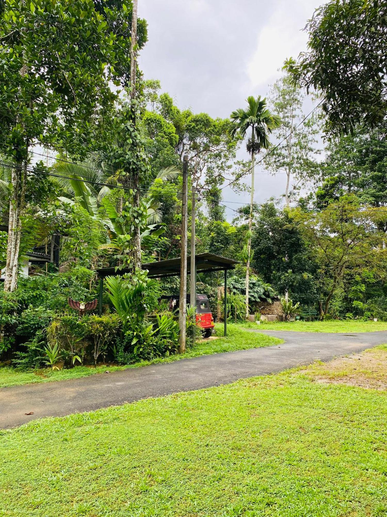Summer Ridge - Homestay Ратнапура Екстериор снимка